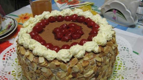 Cake A la Tiramisu (biscuit)