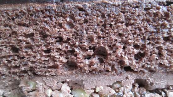 Praagse cake met abrikozenimpregnatie en kruimelkruimels (I.Ovchinnikova)