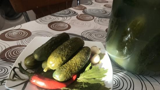 Licht gezouten komkommers van Kara Gundel