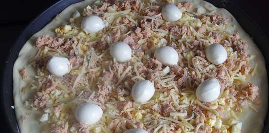 Torta aperta con pesce, cipolle e uova (pizzaiolo Princess 115000)
