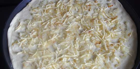 Pastel abierto con pescado, cebolla y huevos (pizzero Princess 115000)