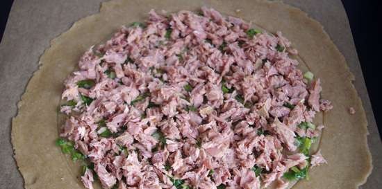Mager tarwe-roggebiscuit met uien en tonijn