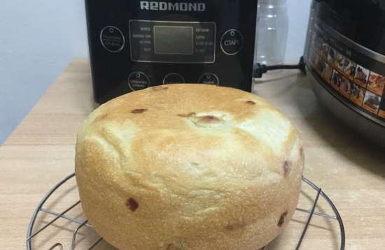 جهاز طهي متعدد الوظائف Redmond RMC-02