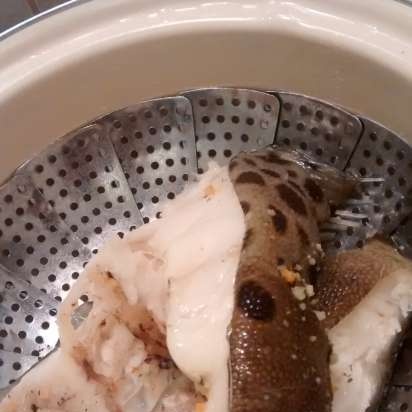 Błąd zimnej makreli