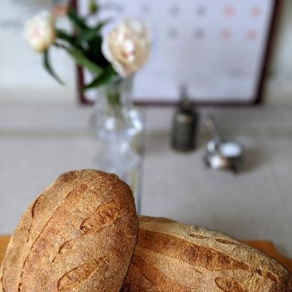 Lúa mì nguyên cám 50:50 Bread and Pizza Dough (Peter Reinhart)