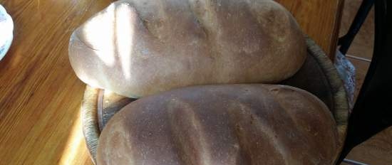 Handle brød på kefir (brødmaker og miniovn Steba KB-23 eco)