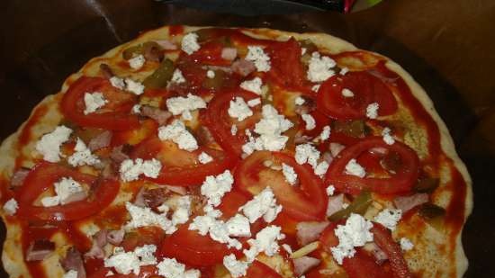 Pizza gemaakt van vloeibaar gistdeeg met rijsopties (in Princess 115000)