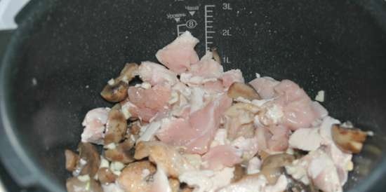 Kylling med sopp - champignons (gjøk 1055)