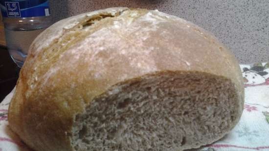 Agroturystyka Chleba