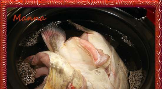 Orecchie di pesce gatto con granella di mais (KitchenAid multicooker)