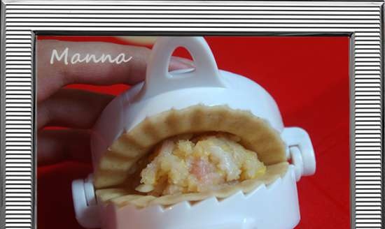 Hjemmelagde dumplings i en multikoker Panasonic SR-TMZ550