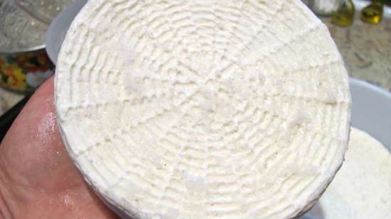 Formaggio Camembert con lievito naturale per buongustai