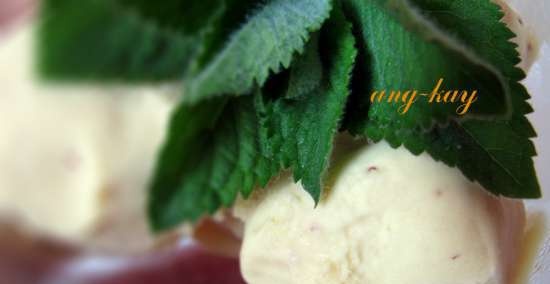 Zmrzlina s jahodovým krémem (mixér)