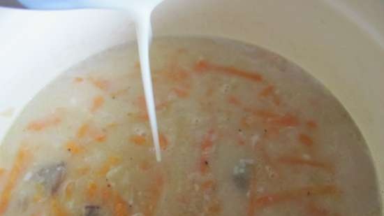 Zakarpatská houbová polévka