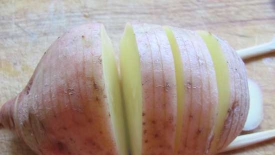 עובדות מעניינות לגבי בחירת זני תפוחי אדמה