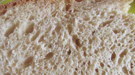 Bierbrood met polysol