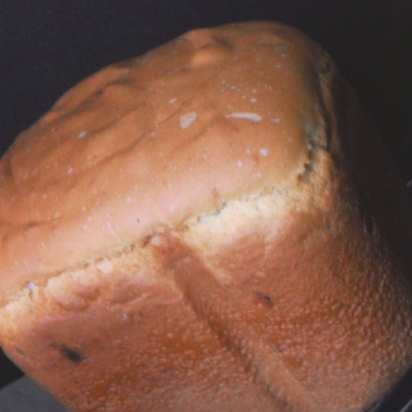 باناسونيك SD-2502. خبز كريمي بالزبيب