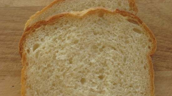 Búza kenyér Syabryna a sütőben