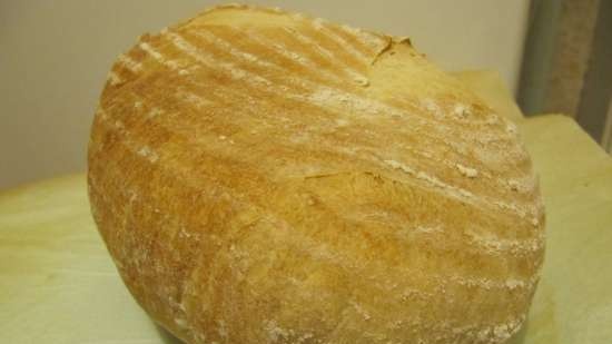Chleb komunalny na zakwasie (Pane Comune con Lievito Madre)