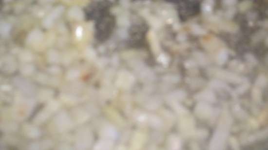 Torta - casseruola di pollo con funghi sotto crosta di filo