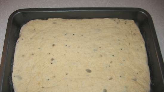 Chlebowe płyty na zakwasie z puree z dyni i pestkami