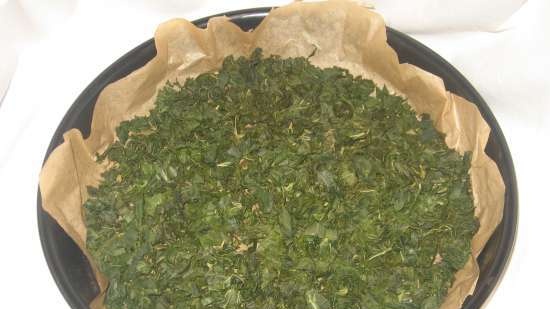 Té fermentado elaborado con hojas de jardín y plantas silvestres (clase magistral)