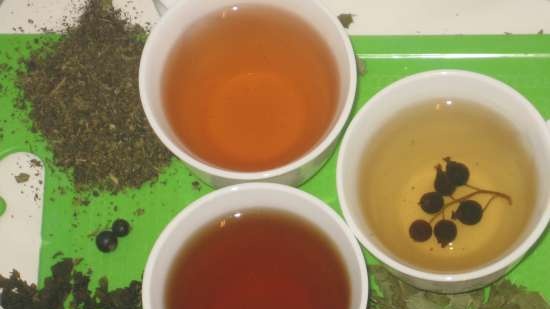 Fermented tea made from leaves of garden and wild plants (master class)