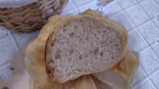 مشاكل وأعطال صانعي الخبز من باناسونيك