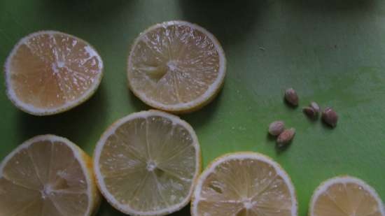 Pastel de limón y manzana (según la receta de Irina Allegrova)
