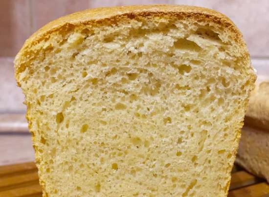 Tejsavó-búza kukorica kenyér (Steba KB28ECO)