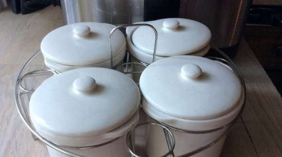 Multicooker-pressure cooker-slow cooker Steba DD2 / DD2 XL