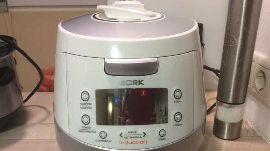 Multicooker Bork U701