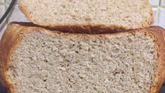 Pane di segale e grano (pentola a pressione Steba DD1)
