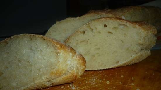 Francia bagett régi tésztán / Baguette de pate fermentee (sütő)