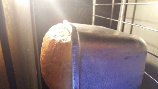 Acquista la pagnotta su kefir (macchina per il pane e mini forno Steba KB-23 eco)