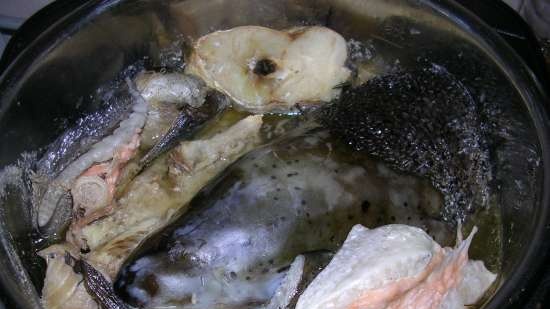 Salmón en gelatina o áspic de pescado (Steba DD1 ECO)
