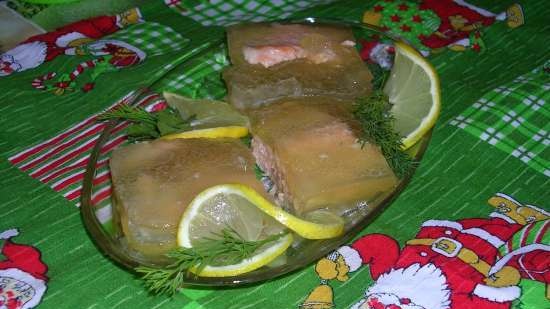 Salmone in gelatina o gelatina di pesce (Steba DD1 ECO)