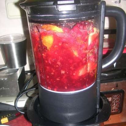 Bebida de grosella roja y manzana con especias (licuadora múltiple Profi Cook PC-МСМ1024)