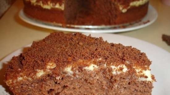 Torta al cioccolato a basso contenuto di grassi - Sjokopulver Kake (Lite Fett)