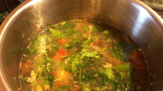 Sopa de calabaza y verduras con pollo (batidora-sopa estacionaria Moulinex)