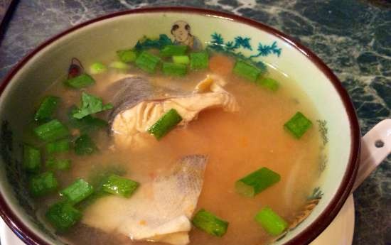 Light rainbow trout soup (Moulinex stationary blender-soup cooker)
