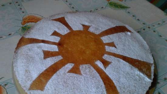 Pastel de naranja al sol en un horno o pizzero Princess