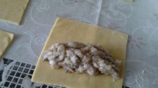 Cannelloni fatti in casa con carne macinata e funghi