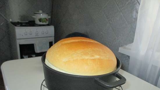 Pan de trigo sobre masa vieja (horno)