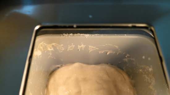 Eenvoudig zuurdesem lichtgrijs brood in de Bork-X800 broodbakmachine