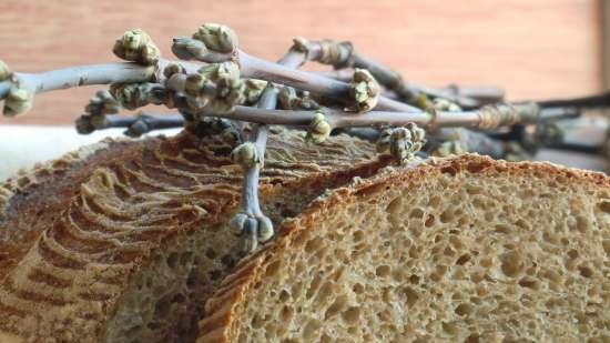 Pan de trigo con harina viva sobre desem