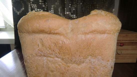 Macchina per il pane Supra BMS-350