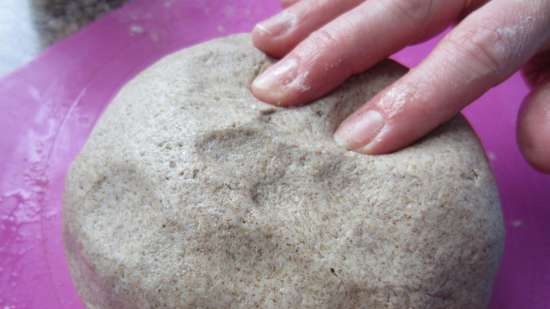 Žitný chléb 100% s kváskovou kulturou „Bez ničeho“ (trouba) (dochází k přechodu na droždí)