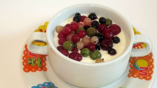 Yoghurtdessert (cartoon, yoghurtmaker) - zomervoedsel voor kinderen en volwassenen