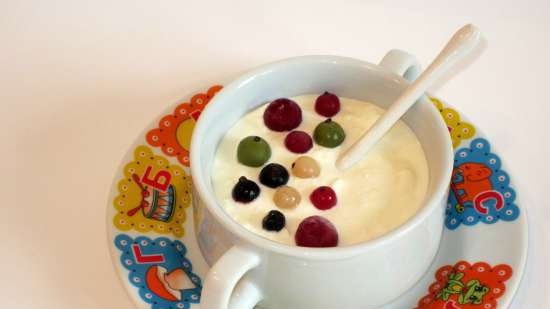 Yoghurtdessert (cartoon, yoghurtmaker) - zomervoedsel voor kinderen en volwassenen